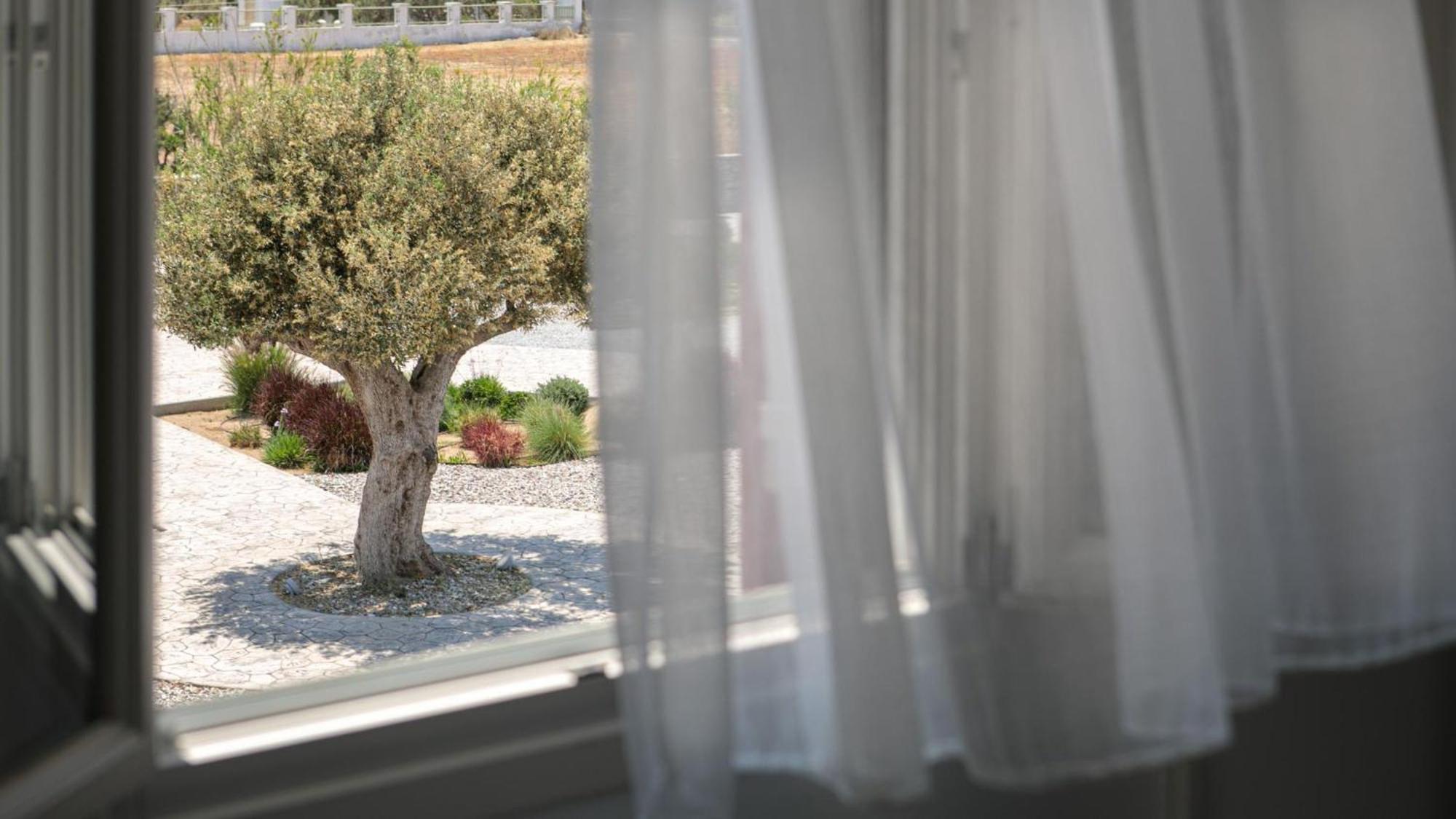 Olives Rocks Naxian Villas Ajía Ána Kültér fotó
