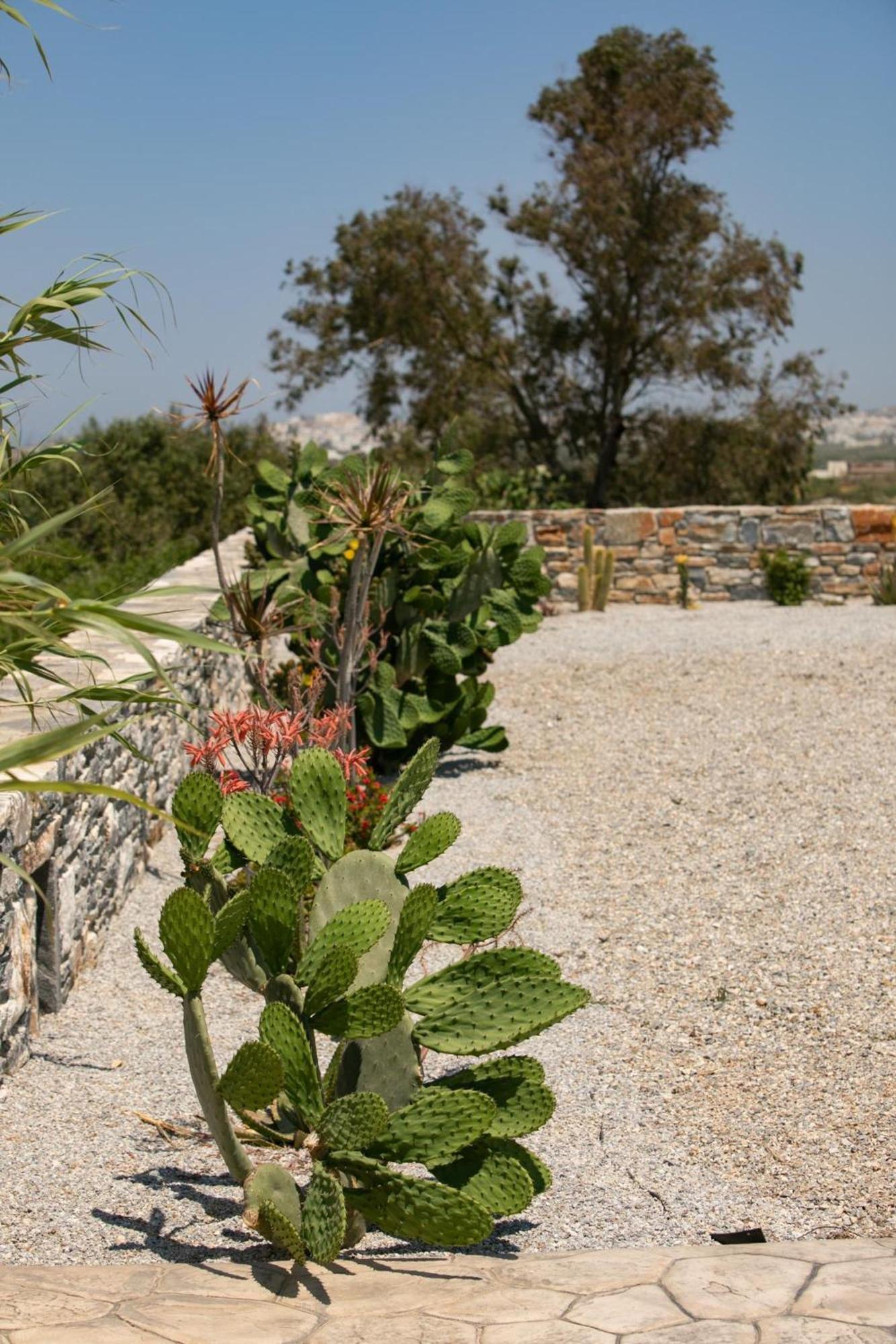 Olives Rocks Naxian Villas Ajía Ána Kültér fotó